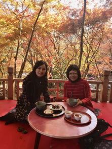 美味的相遇 在线观看,在线观看美食佳肴的视觉盛宴 第2张 美味的相遇 在线观看,在线观看美食佳肴的视觉盛宴 第2张